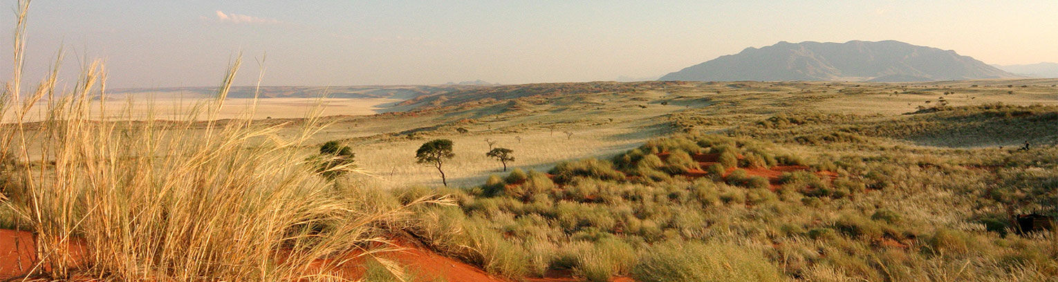 enticing africa Namib Desert01 High Res