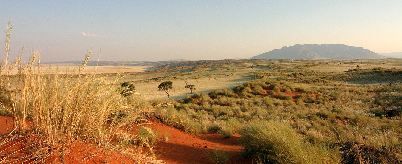 We compile tours for groups of any size and for individual travellers alike