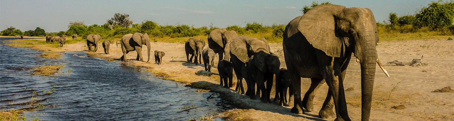 enticing africa tours for individuals3