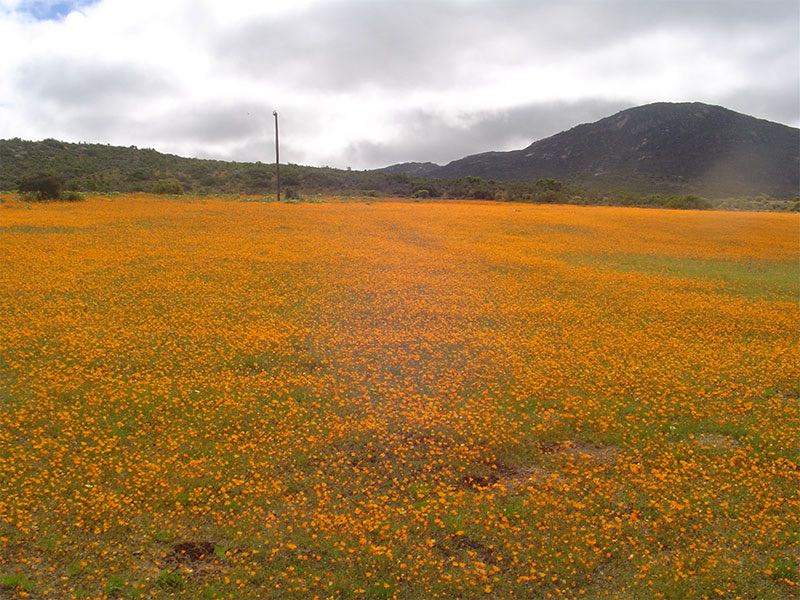 Module 7 Hinterland and West Coast