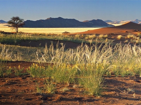 Namibia through the deserts 2