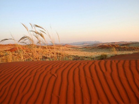 Enticing AfricaNAMIBDESERT1 klein63